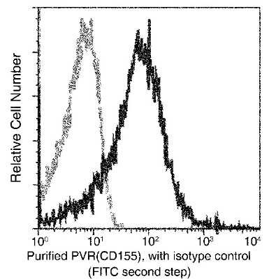 Flow Cytometry: CD155/PVR Antibody (305) [NBP2-90501]