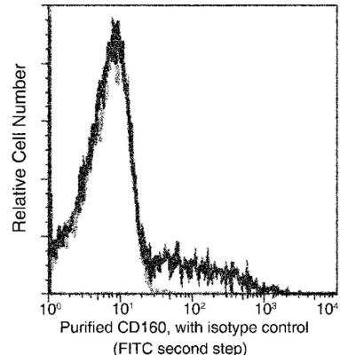 Flow Cytometry: CD160 Antibody (275) [NBP2-90074]