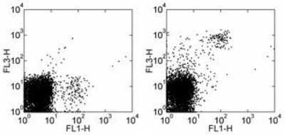 Flow Cytometry: CD161/NK1.1 Antibody (PK136) - Azide and BSA Free [NBP2-80631]