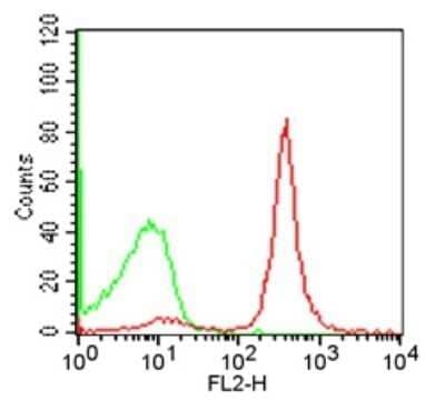 Flow Cytometry: CD19 Antibody (1D3) - Azide and BSA Free [NBP2-80633]