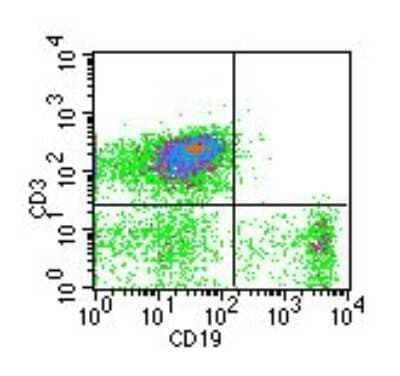 Flow Cytometry: CD19 Antibody (1D3) - Azide and BSA Free [NBP2-80633]