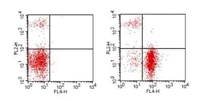 Flow Cytometry: CD19 Antibody (1D3) - Azide and BSA Free [NBP2-24965]