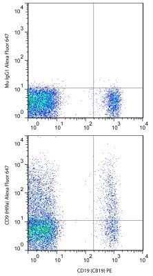 Flow Cytometry: CD19 Antibody (CB19) - Azide and BSA Free [NBP2-80634]