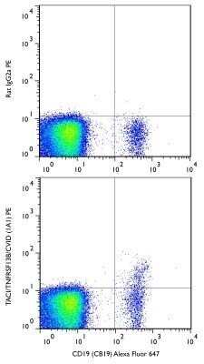 Flow Cytometry: CD19 Antibody (CB19) - Azide and BSA Free [NBP2-80634]