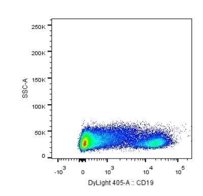 Flow Cytometry: CD19 Antibody (CB19) - Azide and BSA Free [NBP2-80634]