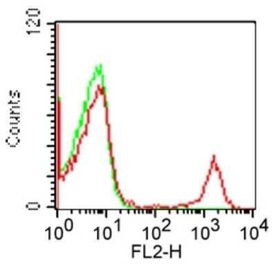 Flow Cytometry: CD19 Antibody (CB19) - Azide and BSA Free [NBP2-80634]