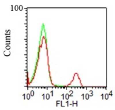 Flow Cytometry: CD19 Antibody (CB19) - BSA Free [NBP2-25196]