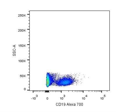 Flow Cytometry: CD19 Antibody (CB19) - BSA Free [NBP2-25196]