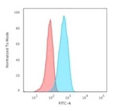 Flow Cytometry: CD19 Antibody (CVID3/155) [NBP2-44674]