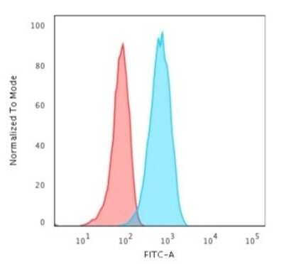 Flow Cytometry: CD19 Antibody (CVID3/429) [NBP2-44675]