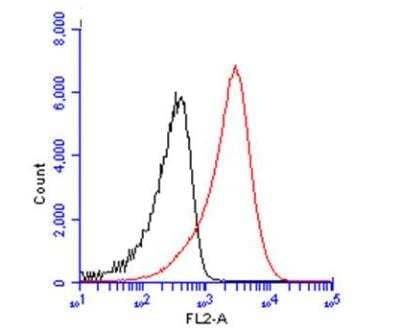 Flow Cytometry: CD19 Antibody [NBP2-15782]