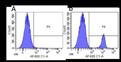 Flow Cytometry: CD19 Antibody (HD37) - Chimeric - Azide and BSA Free [NBP2-52662]