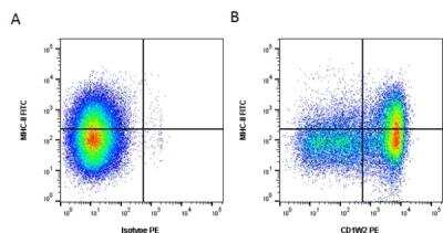 Flow Cytometry: CD1b Antibody (CC20) - BSA Free [NB100-65315]