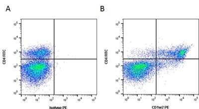 Flow Cytometry: CD1b Antibody (CC20) - BSA Free [NB100-65315]