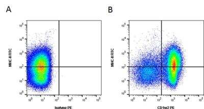Flow Cytometry: CD1b Antibody (CC20) - BSA Free [NB100-65315]