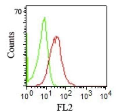 Flow Cytometry: CD1b Antibody (RIV12) - Azide and BSA Free [NBP2-34714]