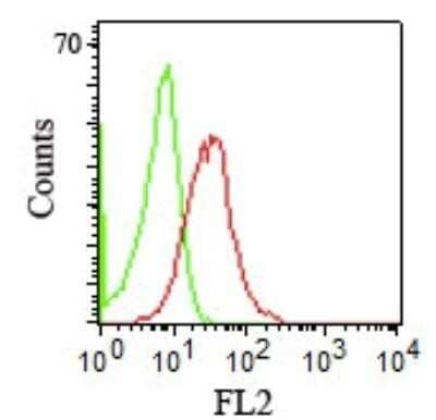 Flow Cytometry: CD1b Antibody (RIV12) [NBP2-32925]