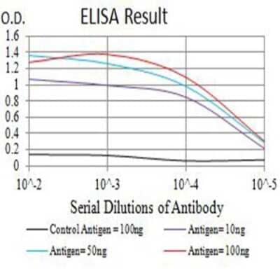 ELISA: CD1c/BDCA-1 Antibody (3G1B3) - BSA Free [NBP2-61725]