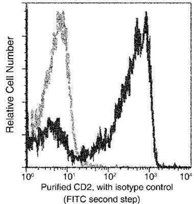 Flow Cytometry: CD2 Antibody (118) [NBP2-89731]