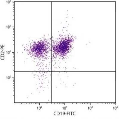 Flow Cytometry: CD2 Antibody (12-15) - Azide and BSA Free [NBP1-26666]
