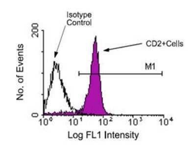 Flow Cytometry: CD2 Antibody (12-15) - Azide and BSA Free [NBP1-26666]