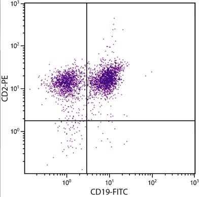 Flow Cytometry: CD2 Antibody (12-15) - Azide and BSA Free [NBP1-26666]