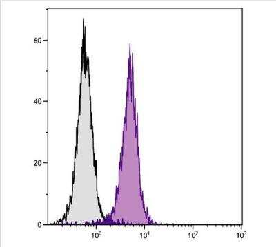 Flow Cytometry: CD2 Antibody (12-15) - Azide and BSA Free [NBP1-26666]