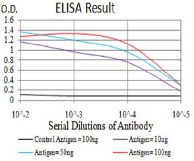 ELISA: CD2 Antibody (3D1E3) - BSA Free [NBP2-61727]