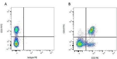 Flow Cytometry: CD2 Antibody (OX-34) - BSA Free [NB100-65228]