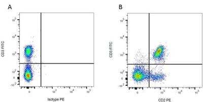 Flow Cytometry: CD2 Antibody (OX-34) - BSA Free [NB100-65228]