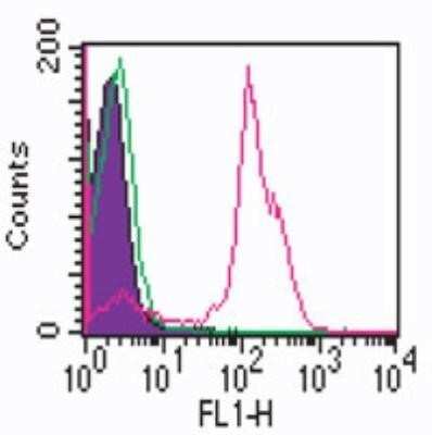 Flow Cytometry: CD2 Antibody (RPA-2.10) - Azide and BSA Free [NBP2-80635]