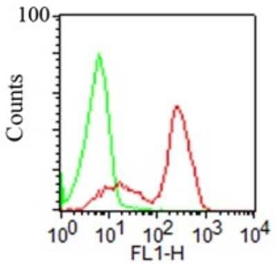 Flow Cytometry: CD2 Antibody (RPA-2.10) [NBP2-25200]