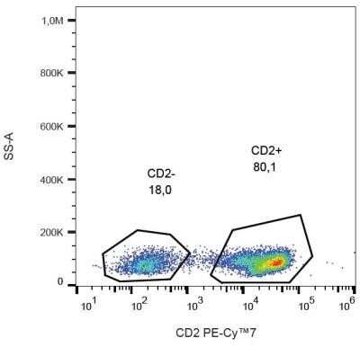 Flow Cytometry: CD2 Antibody (TS1/8) - Azide and BSA Free [NBP2-37715]