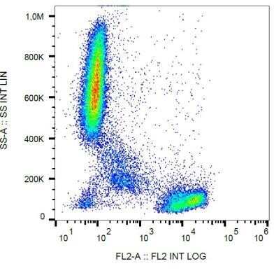 Flow Cytometry: CD2 Antibody (TS1/8) - Azide and BSA Free [NBP2-37715]