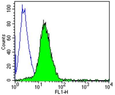 Flow Cytometry: CD2 Antibody (TS2/18) - Azide and BSA Free [NBP2-22537]