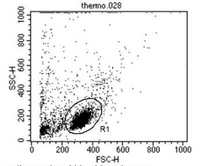 Flow Cytometry: CD2 Antibody (TS2/18) - Azide and BSA Free [NBP2-22537]