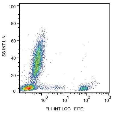 Flow Cytometry: CD20 Antibody (2H7) [NBP2-62206]