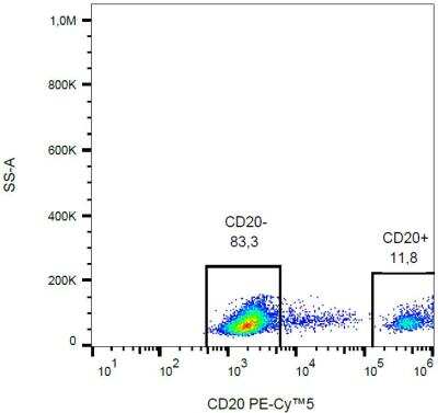 Flow Cytometry: CD20 Antibody (2H7) [NBP2-62206]