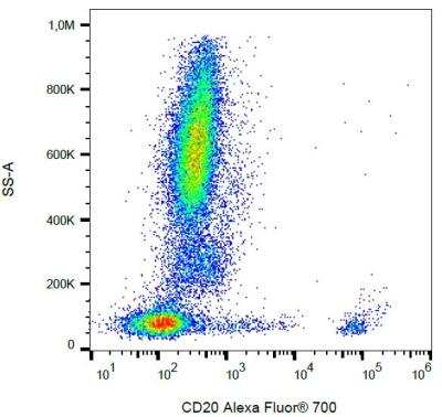 Flow Cytometry: CD20 Antibody (2H7) [NBP2-62206]