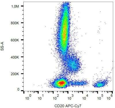 Flow Cytometry: CD20 Antibody (2H7) [NBP2-62206]