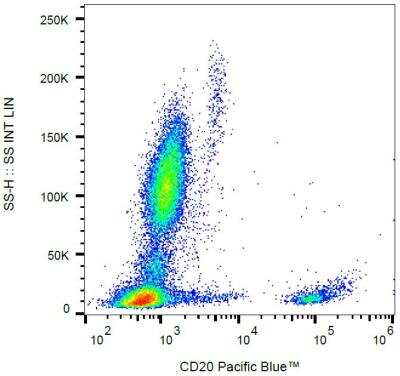 Flow Cytometry: CD20 Antibody (2H7) [NBP2-62206]