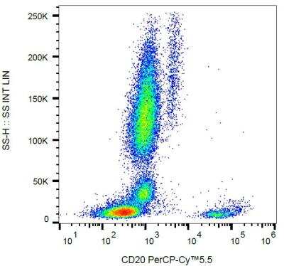 Flow Cytometry: CD20 Antibody (2H7) [NBP2-62206]
