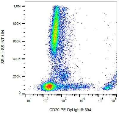 Flow Cytometry: CD20 Antibody (2H7) [NBP2-62206]