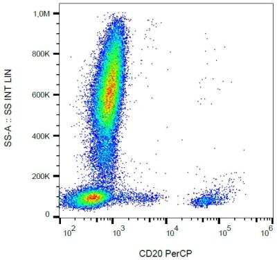 Flow Cytometry: CD20 Antibody (2H7) [NBP2-62206]
