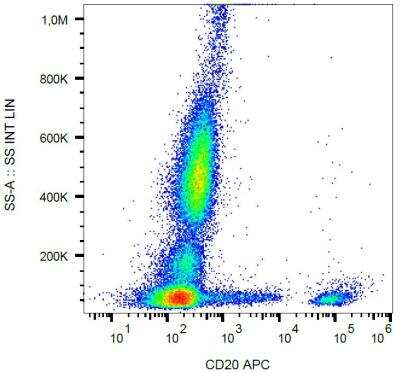 Flow Cytometry: CD20 Antibody (2H7) [NBP2-62206]