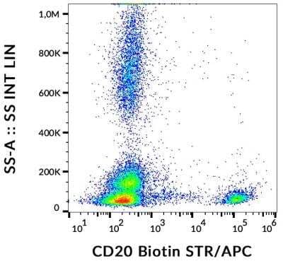 Flow Cytometry: CD20 Antibody (2H7) [NBP2-62206]