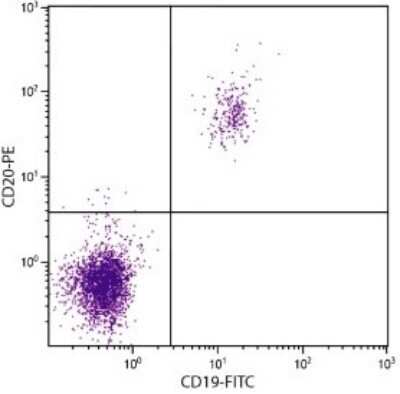 Flow Cytometry: CD20 Antibody (B-Ly1) [NBP1-28380]