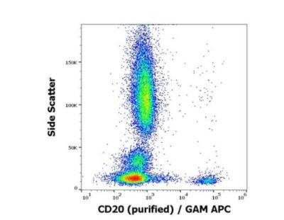 Flow Cytometry: CD20 Antibody (LT20) - BSA Free [NBP3-09146]