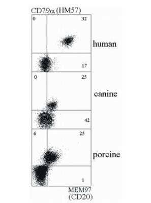 Flow Cytometry: CD20 Antibody (MEM-97) - Azide and BSA Free [NBP1-44634]