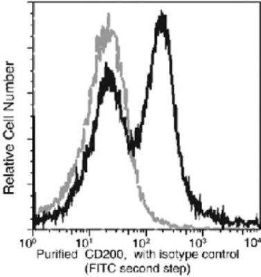 Flow Cytometry: CD200/OX2 Antibody (002) [NBP2-90396]